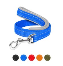 Повідець для собак Dog Extreme з нейлону з прогумованою ручкою Ш 25 мм Д 122 см блакитний (43172)