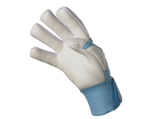 Воротарські рукавиці Select Goalkeeper Gloves 33 601331-410 Allround синій, білий Уні 10 (5703543316434)
