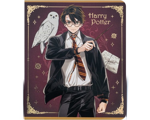 Зошит Kite Harry Potter 24 аркушів, клітинка (HP24-238)