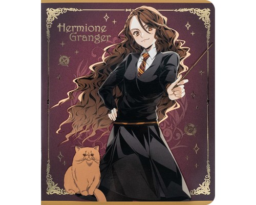 Зошит Kite Harry Potter 24 аркушів, клітинка (HP24-238)