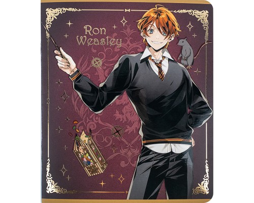 Зошит Kite Harry Potter 24 аркушів, клітинка (HP24-238)