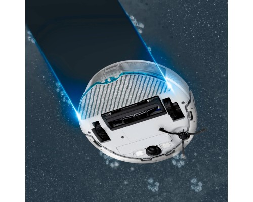 Пилосос Rowenta RR9177WH