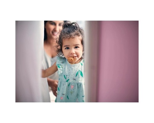 Пустушка Philips AVENT Ultra Soft ультрам'яка 6-18 міс 2 шт (SCF091/18) Пустушка Philips AVENT Ultra Soft ультрам'яка 6-18 міс 2 шт (SCF091/18)