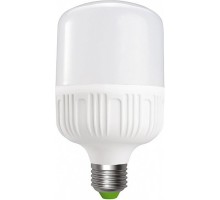 Лампочка EUROELECTRIC Plastic 30W E27 6500K 220V (LED-HP-30276(P))