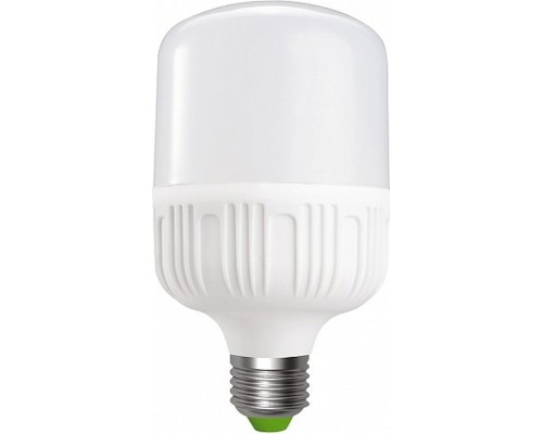 Лампочка EUROELECTRIC Plastic 30W E27 6500K 220V (LED-HP-30276(P))