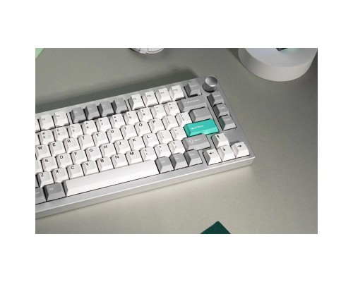 Клавіатура Lemokey P1 Pro Super Brown RGB Wireless/Bluetooth/USB Space Silver (P1P-X3-UA)