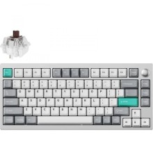 Клавіатура Lemokey P1 Pro Super Brown RGB Wireless/Bluetooth/USB Space Silver (P1P-X3-UA)