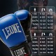 Боксерські рукавички Leone GN383 Thunder Blue 10 унцій (GN383_Blue_10oz)