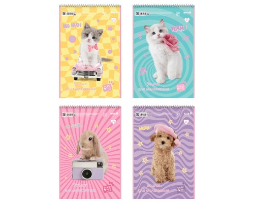 Альбом для малювання Kite Studio Pets, 30 аркушів (SP25-243)