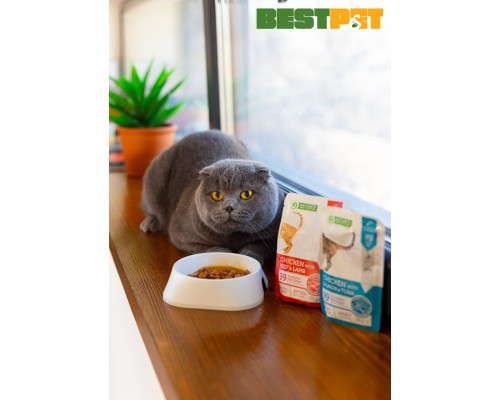 Вологий корм для кішок Nature's Protection Kitten Healthy Growth Chicken Beef & Lamb 100 г (NPUPF63658)
