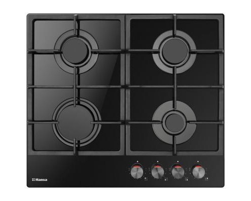Варочна поверхня Hansa BHKS610505