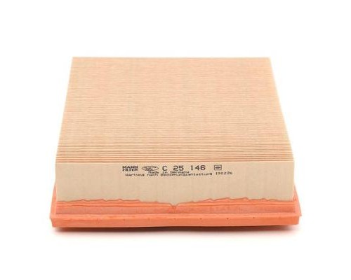 Повітряний фільтр для автомобіля Mann C25146