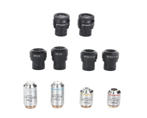 Мікроскоп Sigeta Biogenic 40x-2000x LED Trino Infinity (65260)