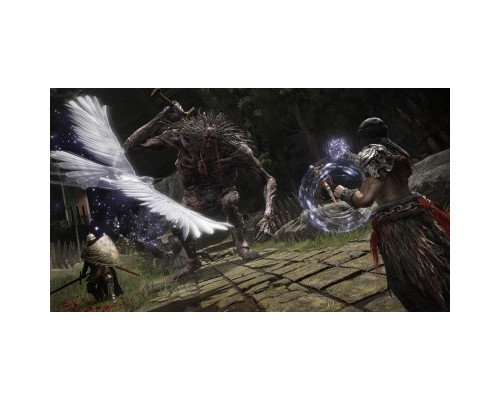 Гра Sony Elden Ring [PS4, Russian subtitles] (3391892006667)