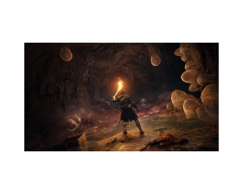 Гра Sony Elden Ring [PS4, Russian subtitles] (3391892006667)