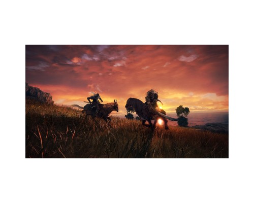 Гра Sony Elden Ring [PS4, Russian subtitles] (3391892006667)