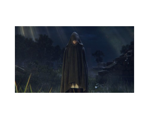 Гра Sony Elden Ring [PS4, Russian subtitles] (3391892006667)