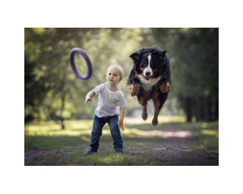 Іграшка для собак Puller Standard Тренувальний снаряд 28 см 2 шт (6490)