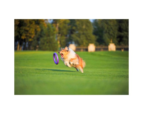 Іграшка для собак Puller Standard Тренувальний снаряд 28 см 2 шт (6490)