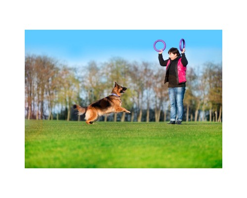 Іграшка для собак Puller Standard Тренувальний снаряд 28 см 2 шт (6490)