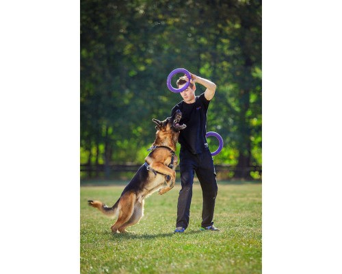 Іграшка для собак Puller Standard Тренувальний снаряд 28 см 2 шт (6490)