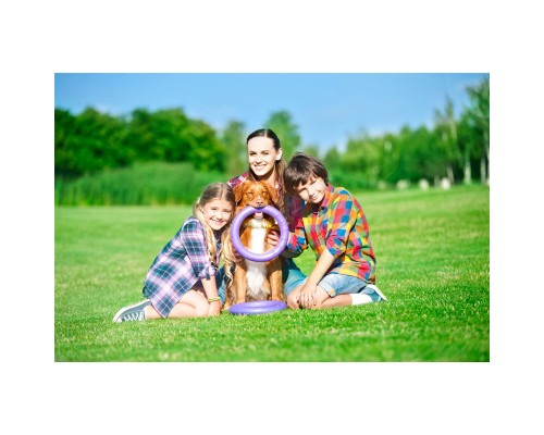 Іграшка для собак Puller Standard Тренувальний снаряд 28 см 2 шт (6490)