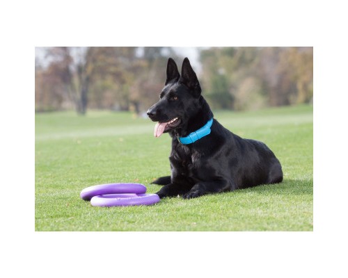 Іграшка для собак Puller Standard Тренувальний снаряд 28 см 2 шт (6490)