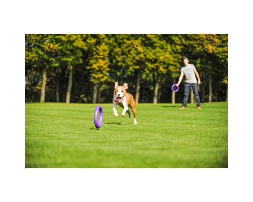 Іграшка для собак Puller Standard Тренувальний снаряд 28 см 2 шт (6490)