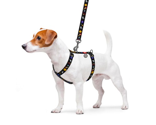 Шлея для собак WAUDOG Nylon з QR паспортом анатомічна H-подібна 