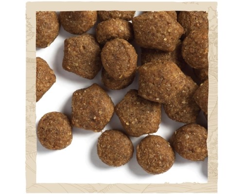 Сухий корм для собак Purina Dog Chow Puppy Lamb зі смаком ягняти 2.5 кг (7613034488657)