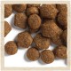 Сухий корм для собак Purina Dog Chow Puppy Lamb зі смаком ягняти 2.5 кг (7613034488657)