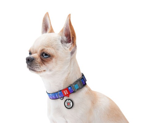 Нашийник для тварин WAUDOG Nylon з QR паспортом 