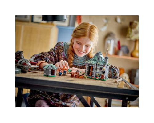 Конструктор LEGO Harry Potter Хатинка Геґріда: Несподівані гості 896 деталей (76428)