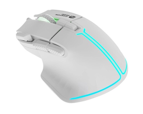 Мишка Canyon Fortnax GM-636 RGB USB White (CND-SGM636W)