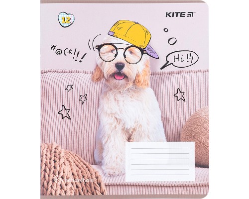 Зошит Kite Rachael Hale 12 аркушів, клітинка (R24-232)