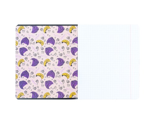 Зошит Kite Rachael Hale 12 аркушів, клітинка (R24-232)