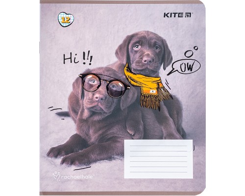 Зошит Kite Rachael Hale 12 аркушів, клітинка (R24-232)