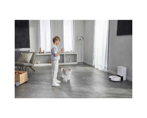 Пилосос Rowenta RR9197WH