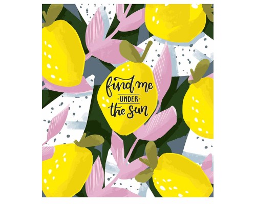 Зошит Школярик Find me under the sun 80 аркушів клітинка (080-3129K)