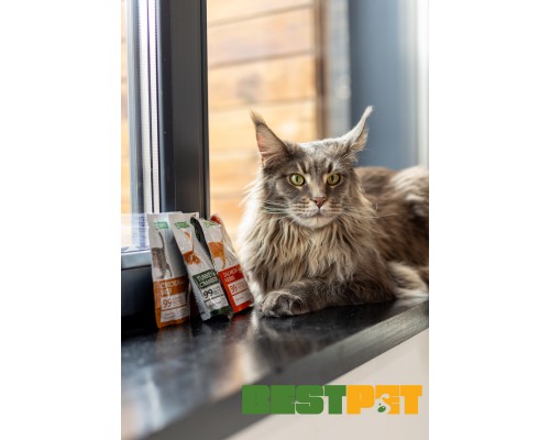 Вологий корм для кішок Nature's Protection Kitten Healthy Growth Chicken with Beef 100 г (NPUPF63656)