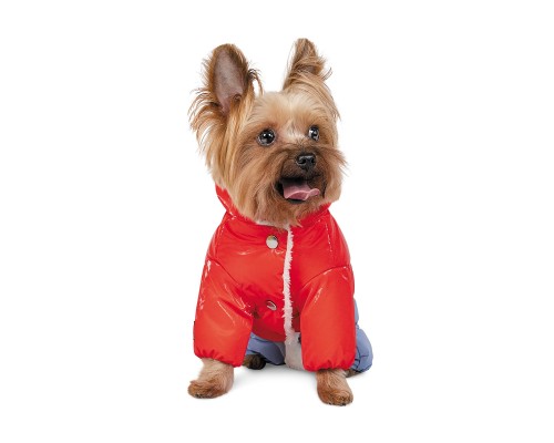 Костюм для тварин Pet Fashion 