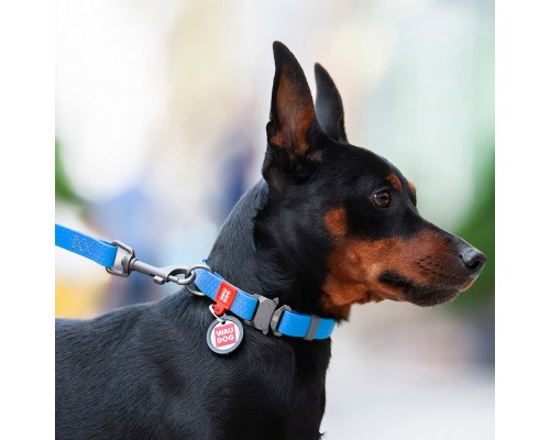 Нашийник для тварин WAUDOG Waterproof з QR паспортом XL Ш 25 мм Д 35-58 см(блакитний) (27842)