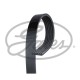 Поліклиновий ремінь Gates 6PK1140SF