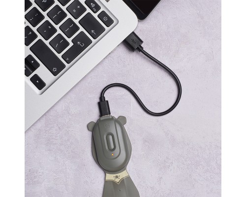 Закладки для книг Flexilight ліхтарик Rechargeable - Пірат (FLRPPI) Закладки для книг Flexilight ліхтарик Rechargeable - Пірат (FLRPPI)