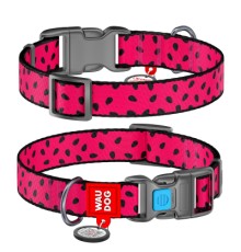 Нашийник для тварин WAUDOG Nylon 