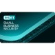 Антивірус Eset Small Business Security 18 ПК 1 year нова покупка (ESBS_18_1_B) 