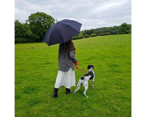 Парасоля Fulton Hampstead-1 L893 - Black (L893-037577)