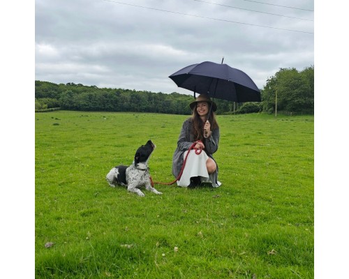 Парасоля Fulton Hampstead-1 L893 - Black (L893-037577)