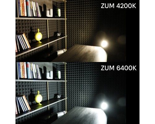 Прожектор Євросвітло ZUM F02-100 4200K