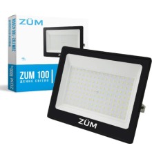 Прожектор Євросвітло ZUM F02-100 4200K